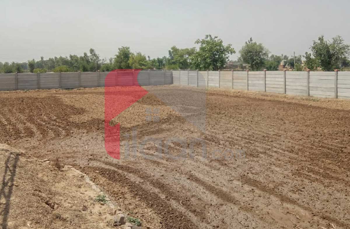 1 Acre 6 Kanal BIOFLOC Fish Farm for Sale on Lahore/Kasur Border, Before Kot Radha Kishan