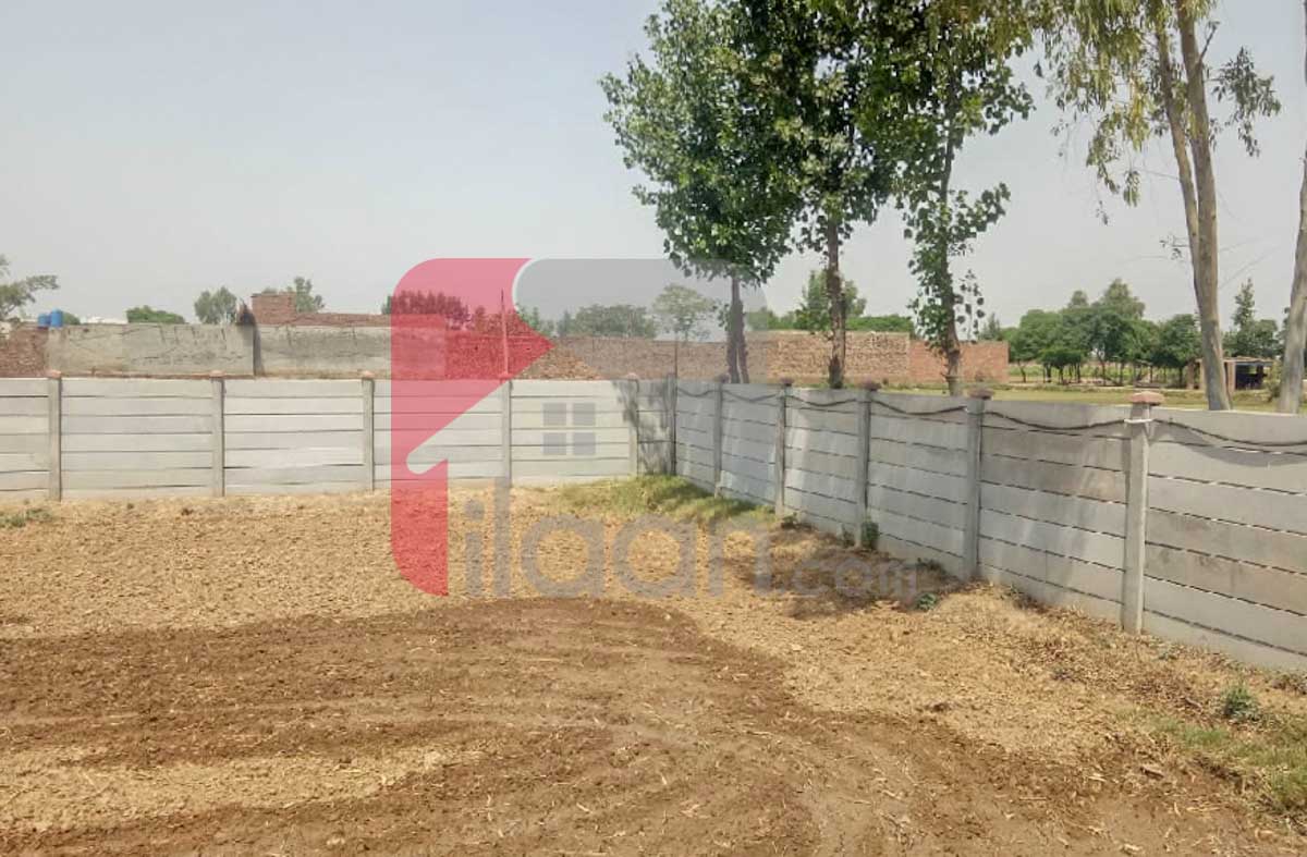 1 Acre 6 Kanal BIOFLOC Fish Farm for Sale on Lahore/Kasur Border, Before Kot Radha Kishan