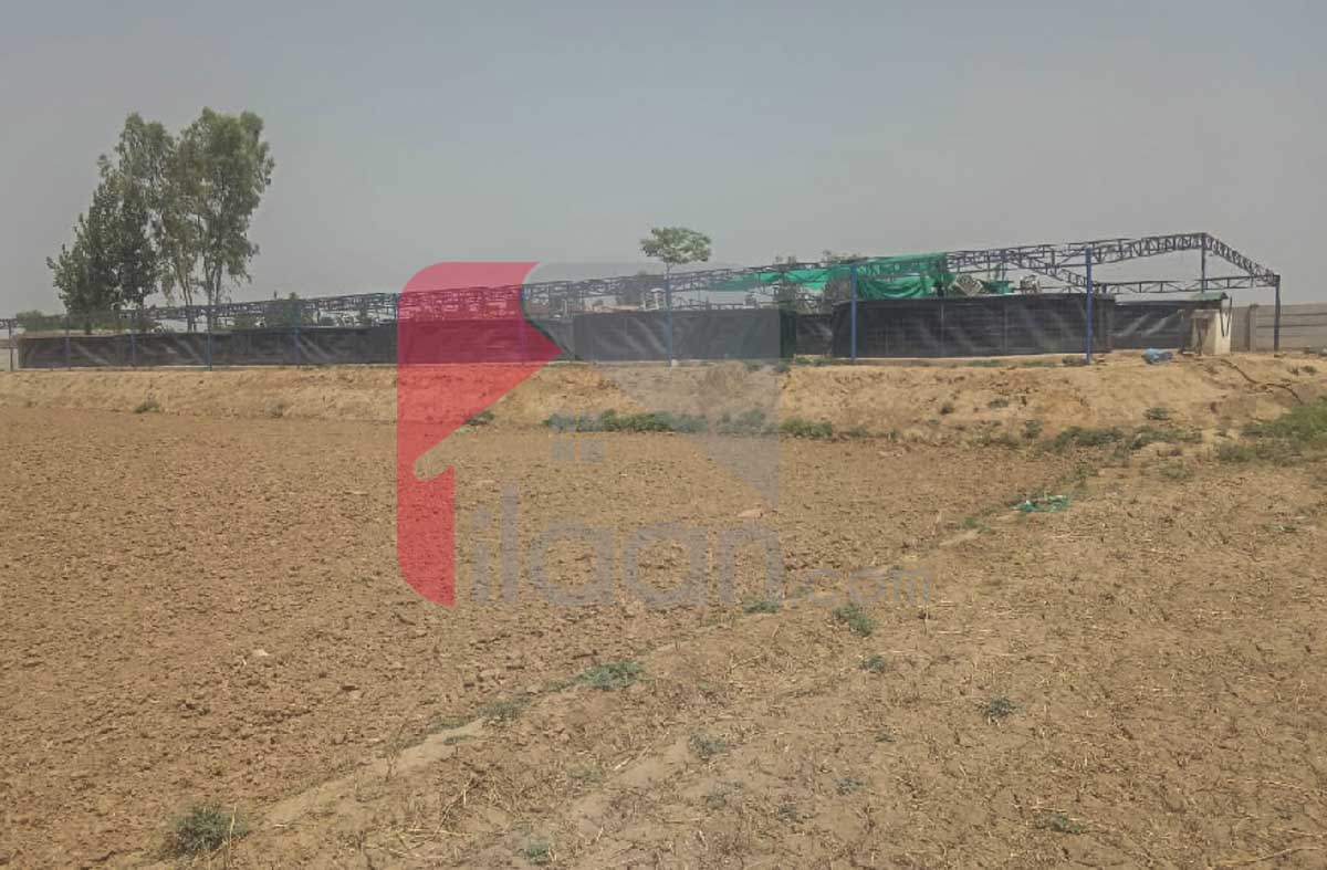 1 Acre 6 Kanal BIOFLOC Fish Farm for Sale on Lahore/Kasur Border, Before Kot Radha Kishan