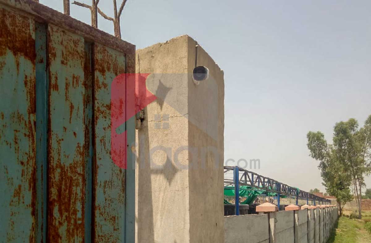 1 Acre 6 Kanal BIOFLOC Fish Farm for Sale on Lahore/Kasur Border, Before Kot Radha Kishan