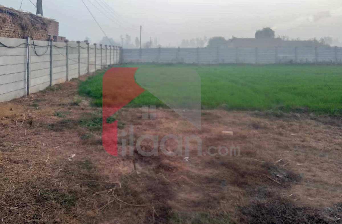 1 Acre 6 Kanal BIOFLOC Fish Farm for Sale on Lahore/Kasur Border, Before Kot Radha Kishan