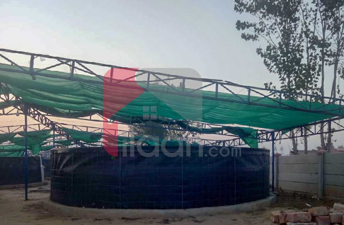 1 Acre 6 Kanal BIOFLOC Fish Farm for Sale on Lahore/Kasur Border, Before Kot Radha Kishan