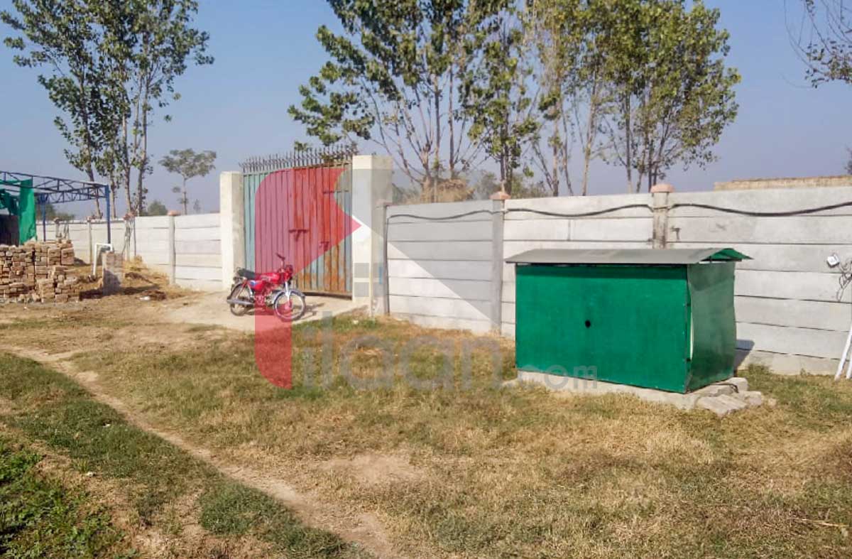 1 Acre 6 Kanal BIOFLOC Fish Farm for Sale on Lahore/Kasur Border, Before Kot Radha Kishan