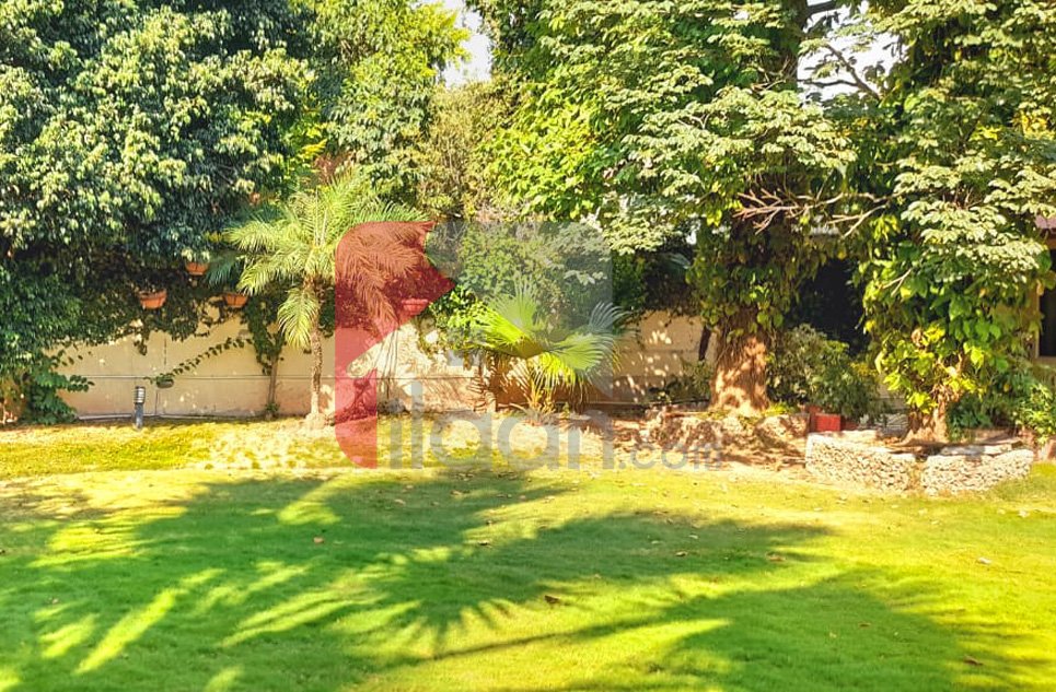 1.5 Kanal House for Rent in F-8/3, F-8, Islamabad