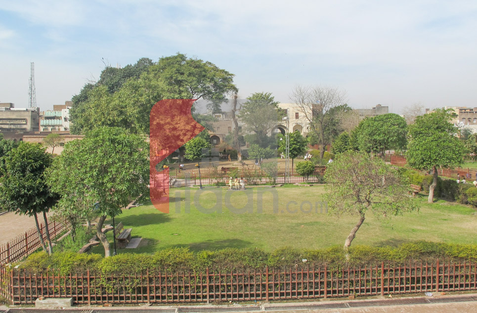 10 Marla House for Sale in Nishterabad, Peshawar