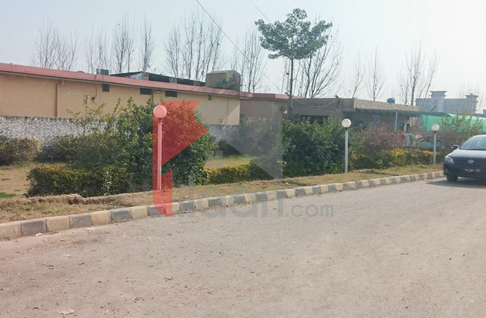 1 Kanal Plot for Sale in Peshawar Garden, Peshawar