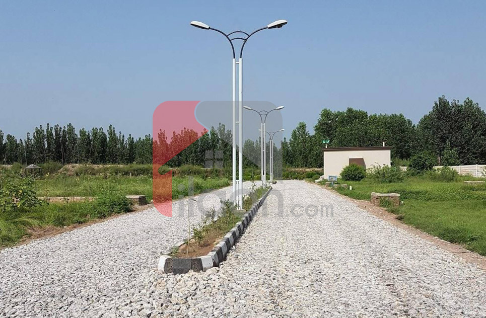 5 Marla Plot for Sale in Professor Model Town Cooperative Housing Society, Nasir Bagh Road, Peshawar