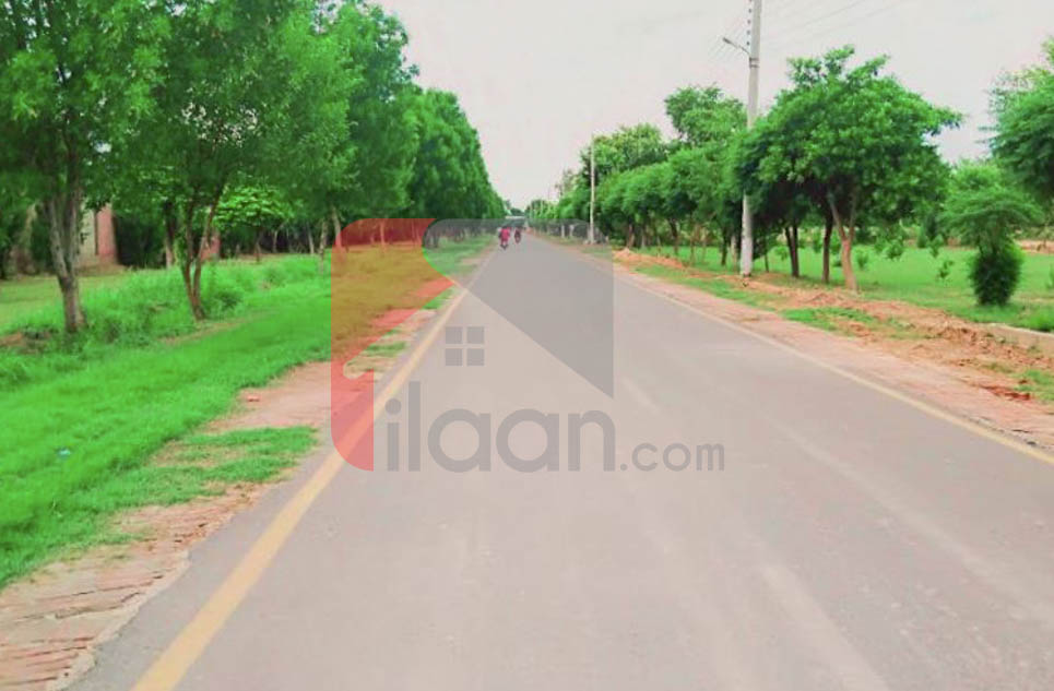 1 Kanal House for Sale in Farid Town, Sahiwal