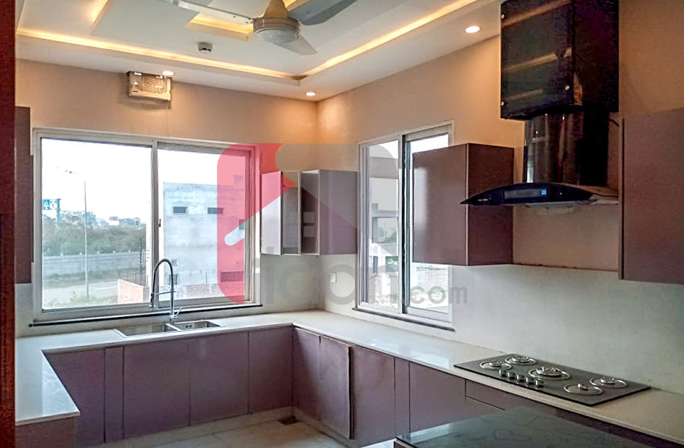 1 Kanal House for Rent (First Floor) in Block V, Phase 8, DHA Lahore