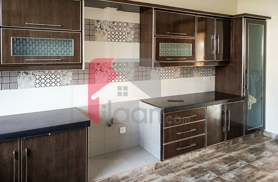 1 Kanal House for Rent in Block Q, PHase 7, DHA Lahore