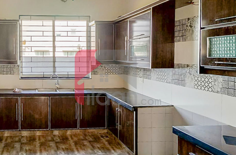 1 Kanal House for Rent in Block Q, PHase 7, DHA Lahore