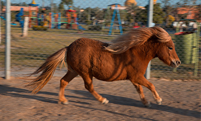 5 Marla Plot for Sale in Park View City, Lahore