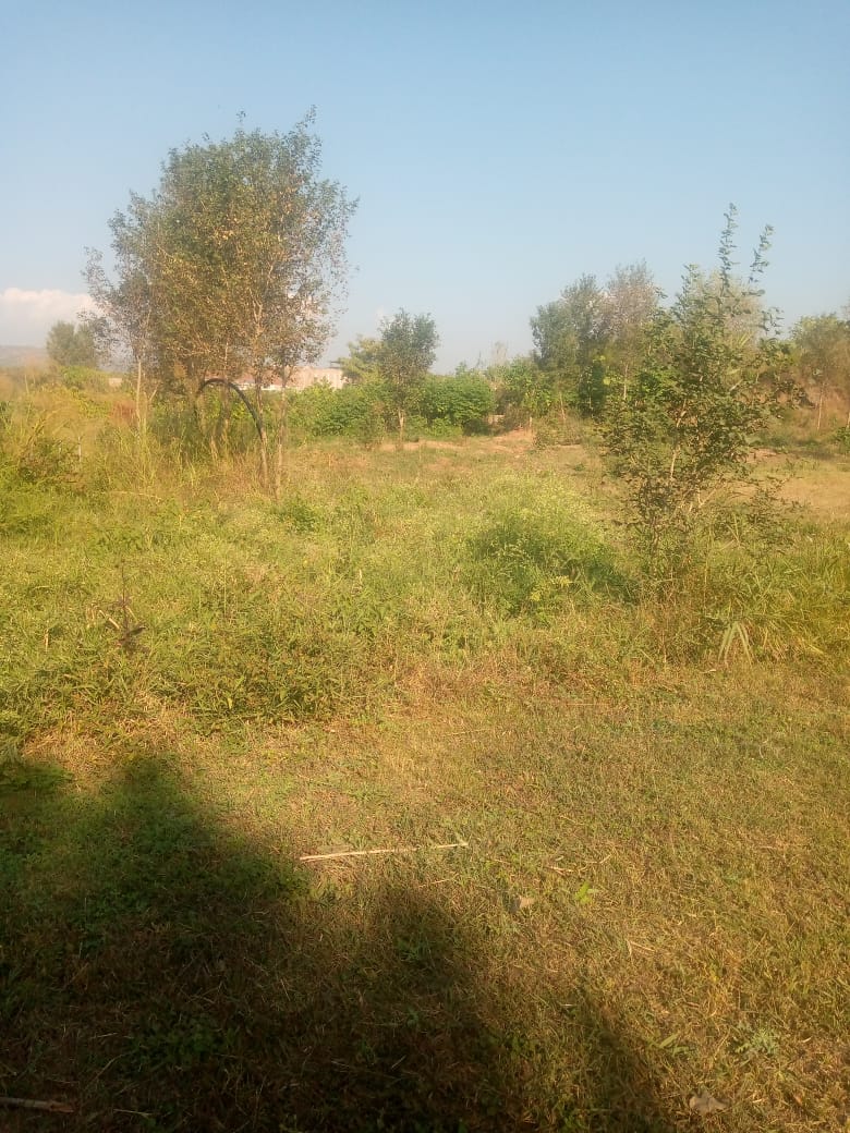 7.60 Kanal Plot for Sale in Naval Farms Islamabad