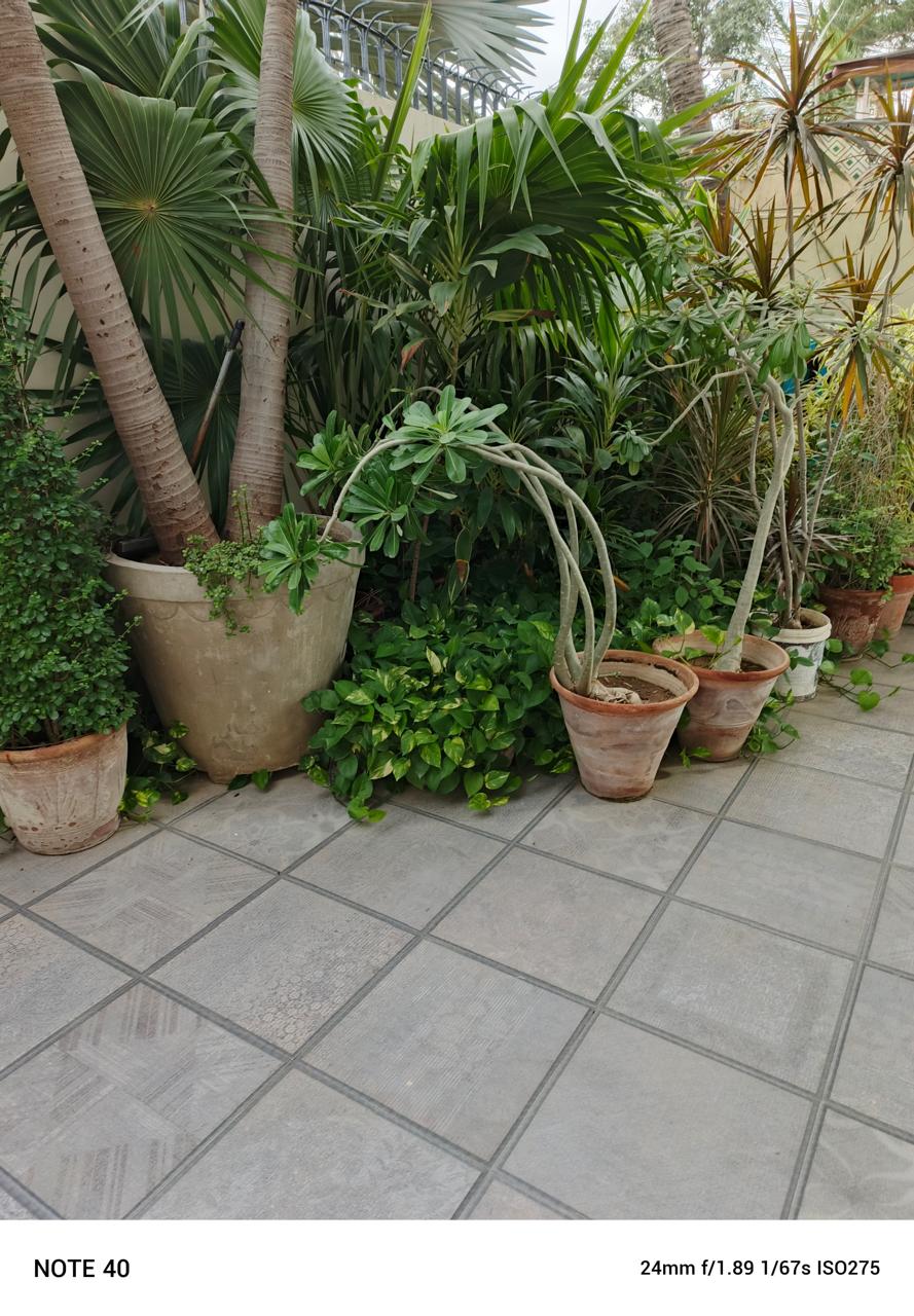 450 Sq.yd Bungalow for Sale in Block 7 Prime, Gulshan-e-iqbal, Karachi