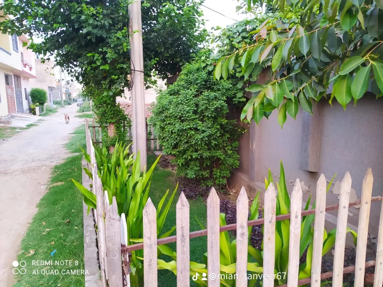10 Marla House for Sale in Elite Town, Lahore