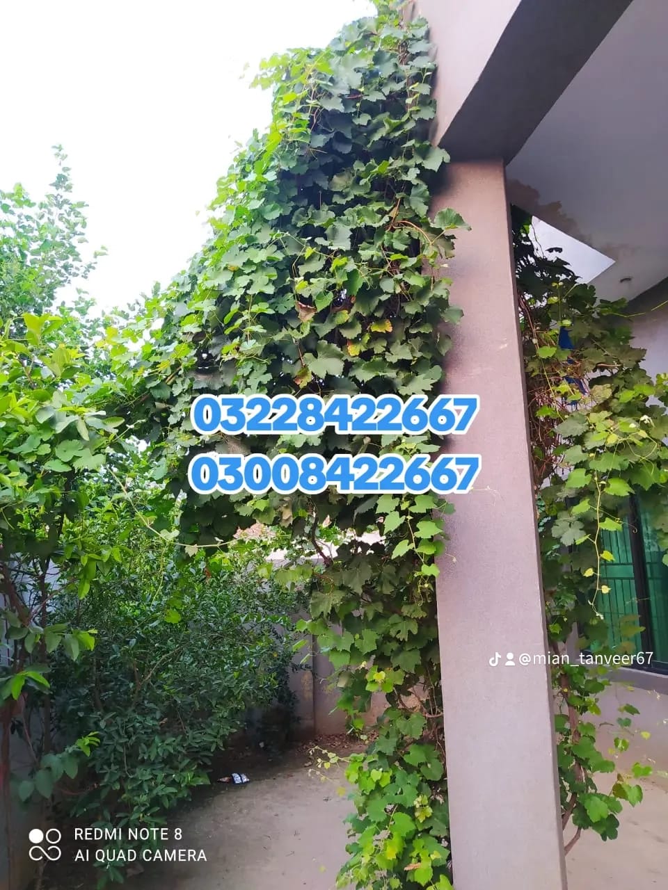 10 Marla House for Sale in Elite Town, Lahore