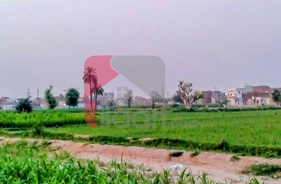 377 Kanal Plot for Sale in Multan Cantt, Multan