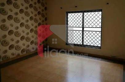 10 Marla House for Rent in Wapda City, Faisalabad