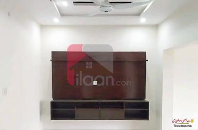 5 Marla House for Rent (First Floor) in Canal Valley, Faisalabad