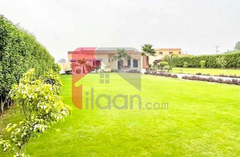 1 Kanal Farm House for Sale in Orchard Greenz, Bedian Road, Lahore