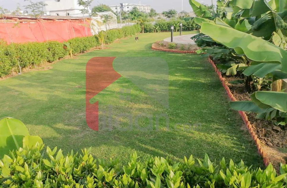 200 Square Yard Plot for Sale in AL-Jadeed Residency, Karachi