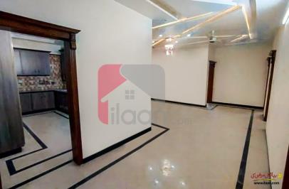 14 Marla House for Rent (Ground Floor) in I-8, Islamabad