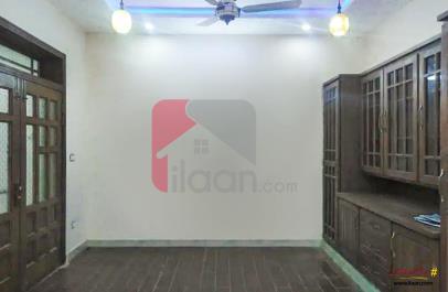 14.2 Marla House for Rent (Groudn Floor) in I-8/4, I-8, Lahore
