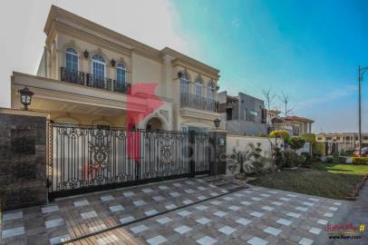 1 Kanal House for Rent in Phase 6, DHA Lahore