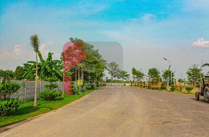 4 Kanal Farmhouse Plot for Sale in Orchard Greenz Luxury Farm House Society, Lahore
