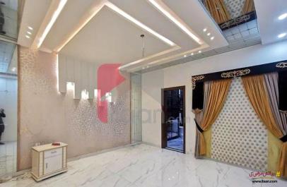 10 Marla House for Rent in Model City 1, Faisalabad