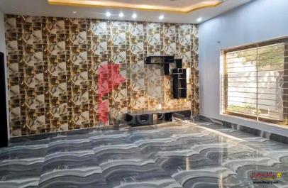 8 Marla House for Rent in Canal Park, Faisalabad