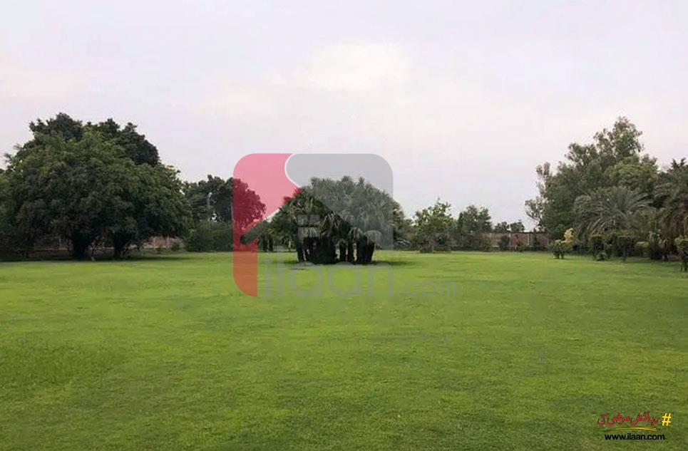 48 Kanal Farmhouse for Sale on Bedian Road, Lahore