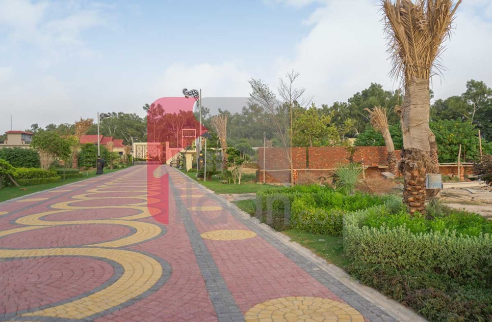 5 Kanal Farmhouse for Sale in Casa Serena, Sharif Medical City Road, Lahore