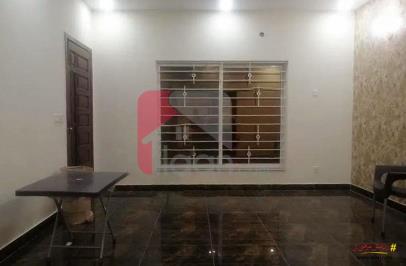 12 Marla House for Rent (Ground Floor) in Phase 2, Nasheman-e-Iqbal, Lahore