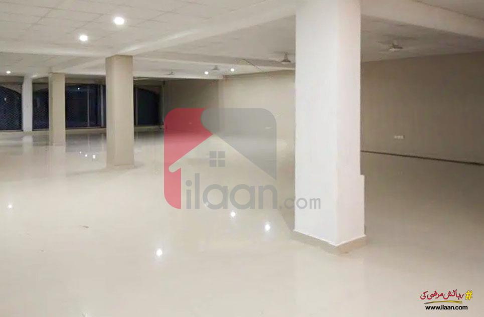 2.4 Kanal Building for Rent in G-8, Islamabad