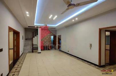 6.7 Marla House for Rent in G-10/4, Islamabad