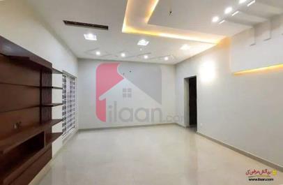 600 Square Yard Office for Rent in Block 7, Gulshan-e-Iqbal, Karachi