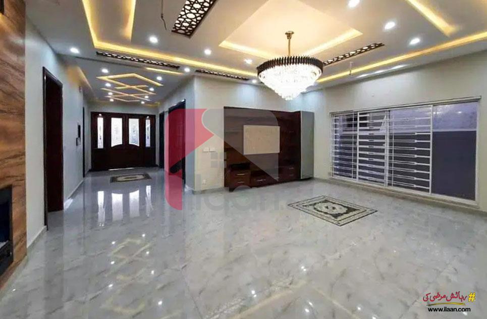 222 Square Yard Office for Rent in Block 13/D-2, Gulshan-e-Iqbal, Karachi