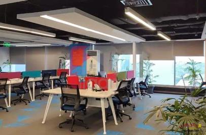 1 Kanal 8.4 Marla Building for Rent in G-10, Islamabad