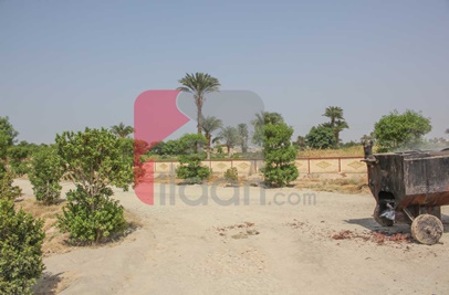 3 Marla Plot (Plot no 13) for Sale in Phase 1, Al-Kareem Garden Housing Scheme, Bahawalpur