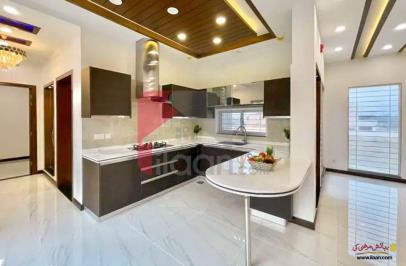 400 Sq.yd House for Rent (Ground Floor) in Block 5, Gulshan-e-iqbal, Karachi