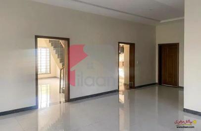 10 Marla House for Rent (First Floor) in E-11, Islamabad