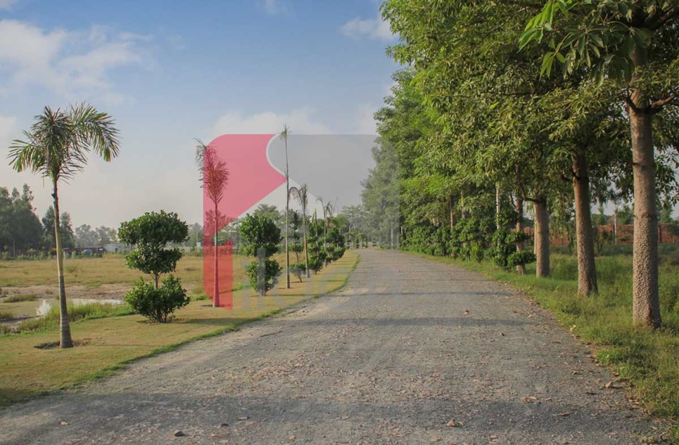 1 Kanal Farmhouse Plot for Sale in Orchard Greenz Luxury Farm House Society, Bedian Road, Lahore
