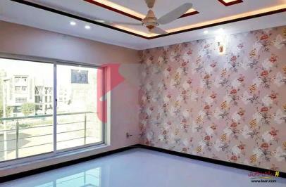14 Marla House for Rent (Ground Floor) in Green Avenue, Islamabad