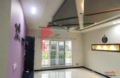 1 Kanal House for Rent (First Floor) in G-16/4, G-16, Islamabad