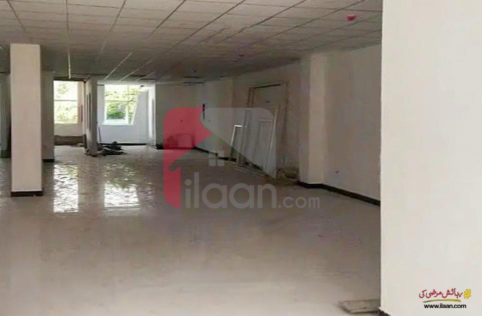 3.1 Kanal Building for Rent in G-8, Islamabad