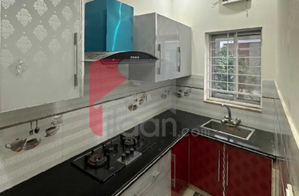 5 Marla House for Rent in Jinnah Block, Sector E, Bahria Town, Lahore