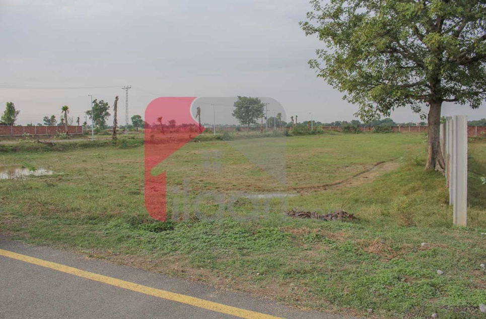 2 Kanal Farm House Plot for Sale in Flaura Farms, Barki Road, Lahore