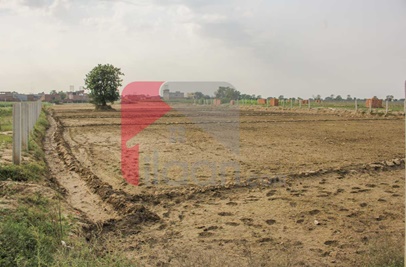 10 Marla Plot for Sale in Arabian Homes & Farms, Bhaini Road, Lahore