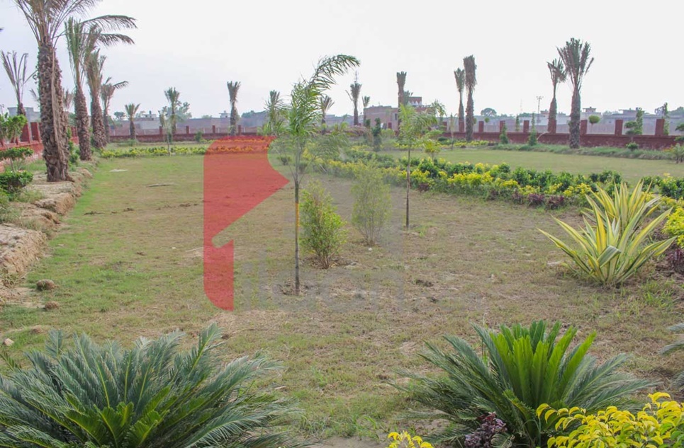 3 Marla House for Sale in Arabian Homes & Farms, Bhaini Road, Lahore